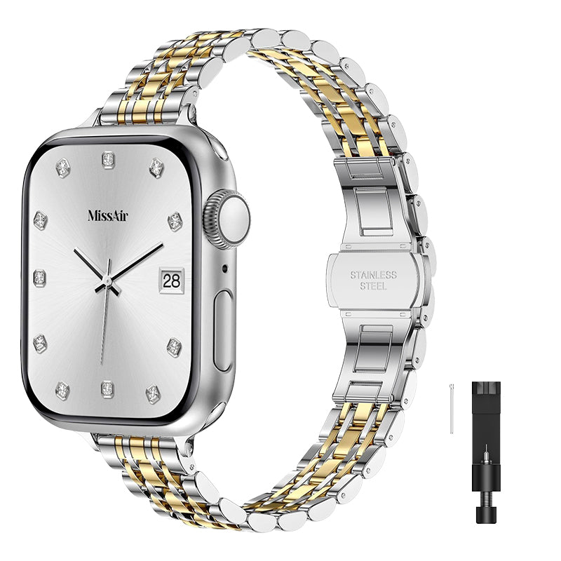 Luxury Stainless Steel Classic Band & PC Cover Case
