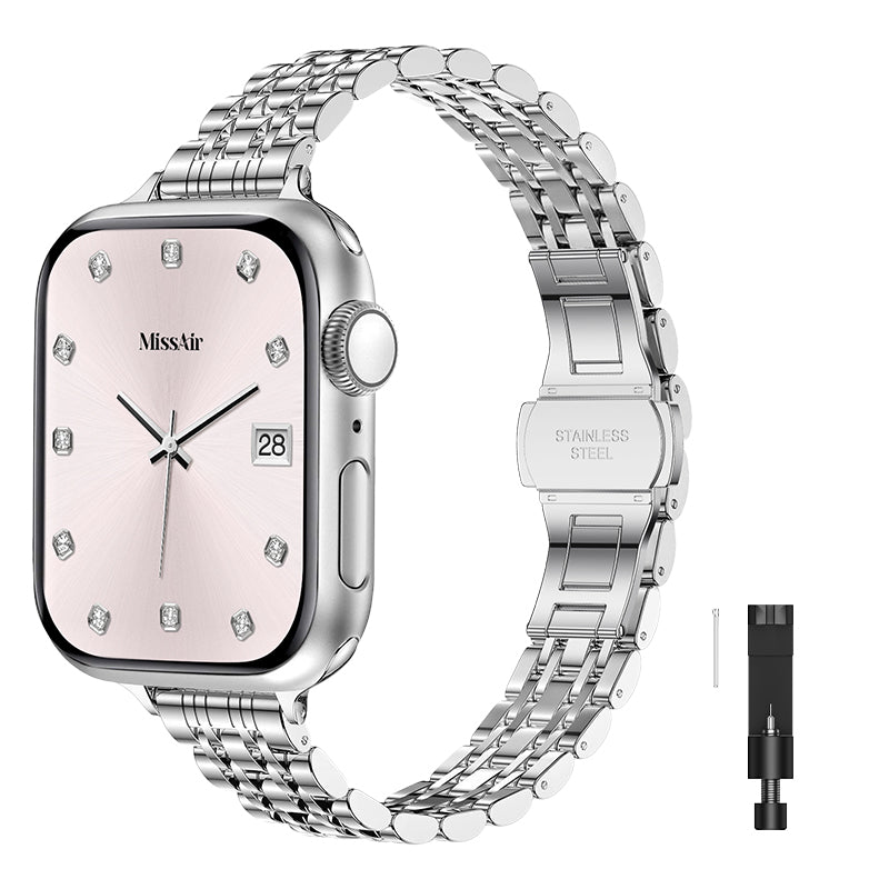 Luxury Stainless Steel Classic Band & PC Cover Case